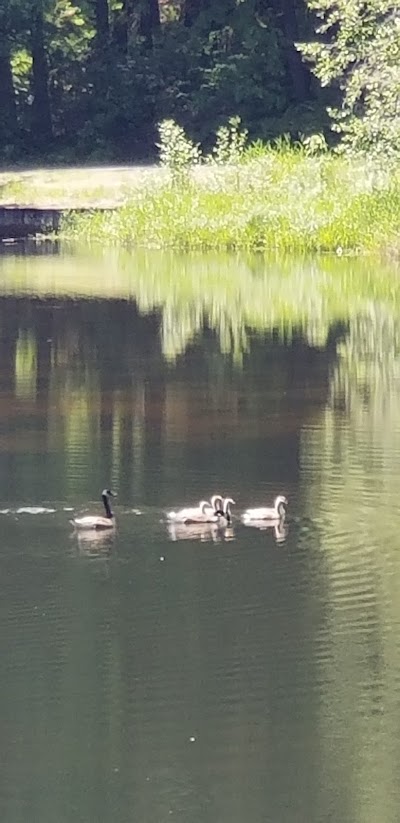 Upper Lake Creek