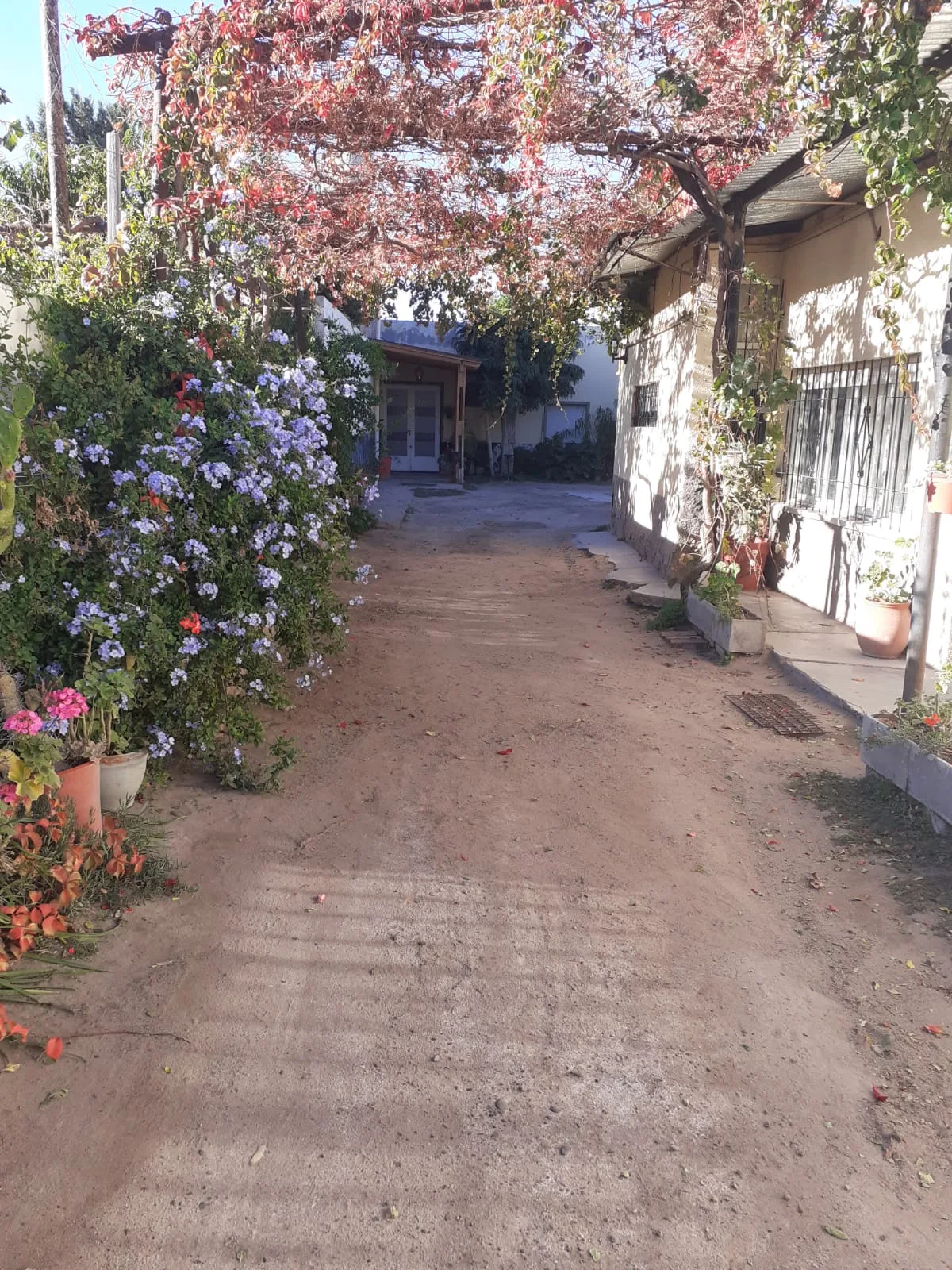 HOSPEDAJE AUDORINDO