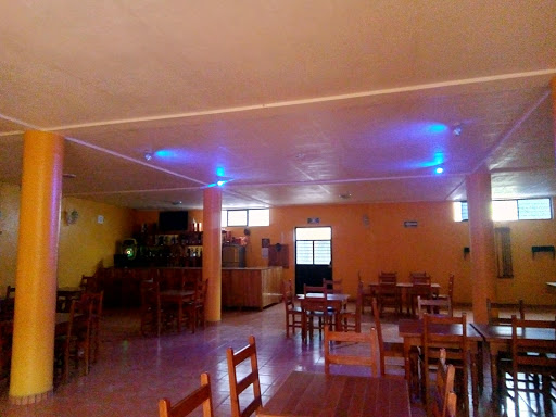 Acuario 13