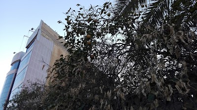 Photos of Teyba Hotel