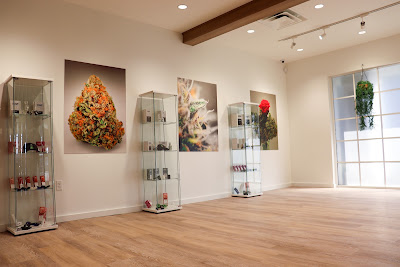 Photo of Sanctuary Cannabis Dunedin Dispensary