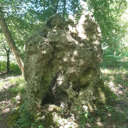 la pierre qui corne forêt d'halatte