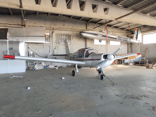 Eduardo Castellanos Airport - Thumbnail