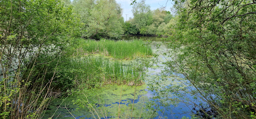 The Gainsborough Trail: Meadow Walk - Thumbnail
