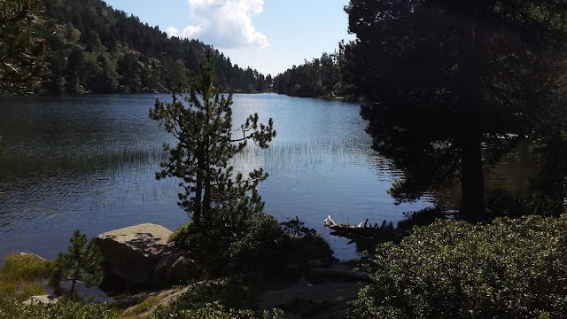 Place around image