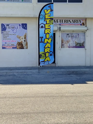 Filovet