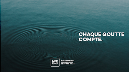 NEXEAU Recherche de fuites, Lille (Hauts-de-France)