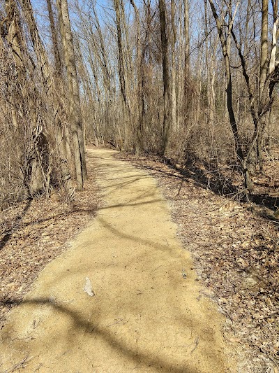 Pigeon Lake Wayside Park