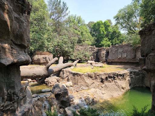 Zoológico de Chapultepec - Thumbnail