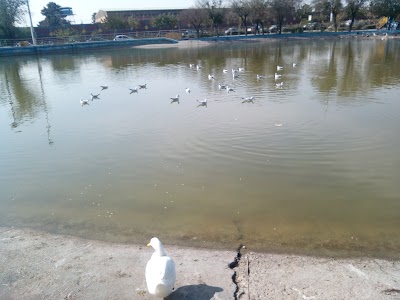 Photos of Almahdi Park