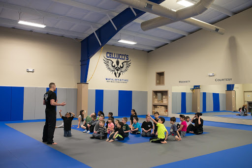 Cellucci's Martial Arts & Fitness