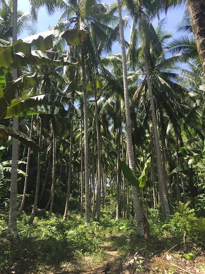 Photos of Bomba Island Retreat