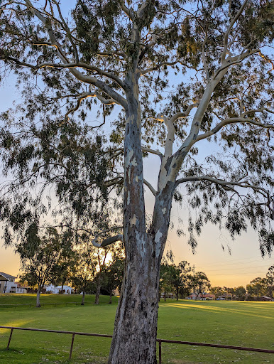 Enright Reserve - Thumbnail