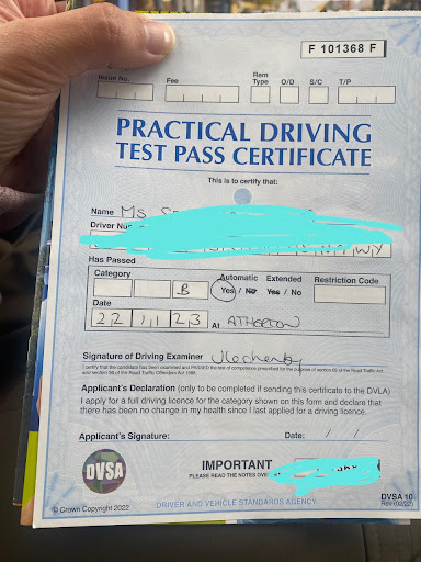 Bee Driving School (Automatic) - Visual