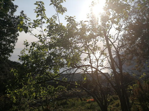 Cascinelli - Visual