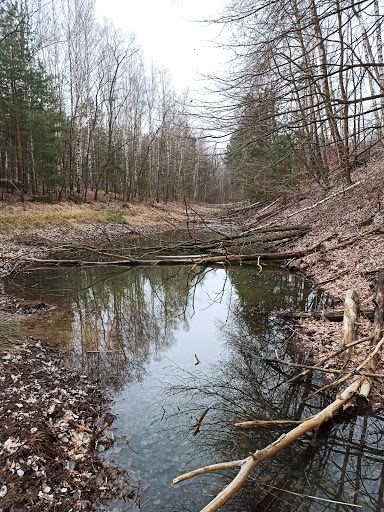 Staw Karasiowy