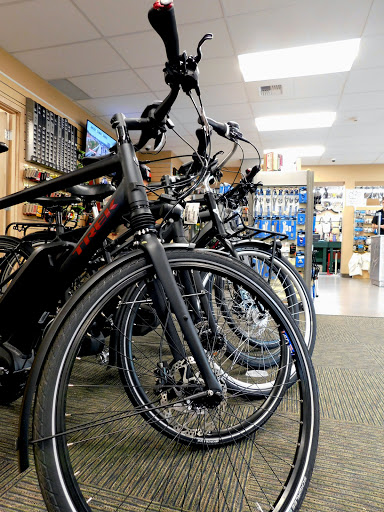 Gregg's Lynnwood Cycle - Thumbnail