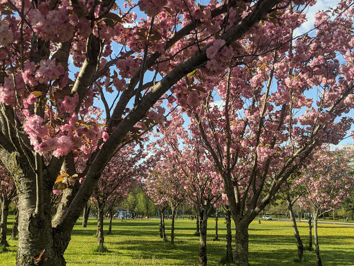 Broadacres Park