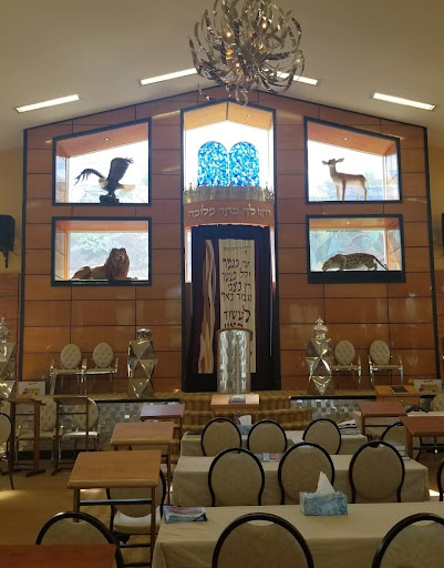 Oorah The Zone Shul