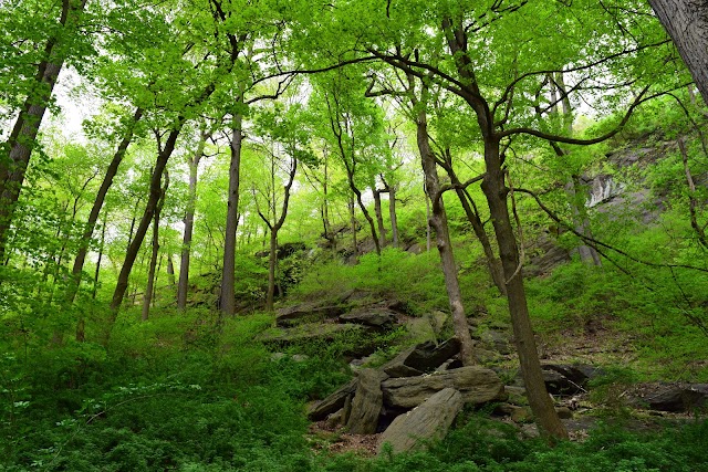 Inwood Hill Park