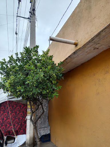 Finca el limón - Thumbnail