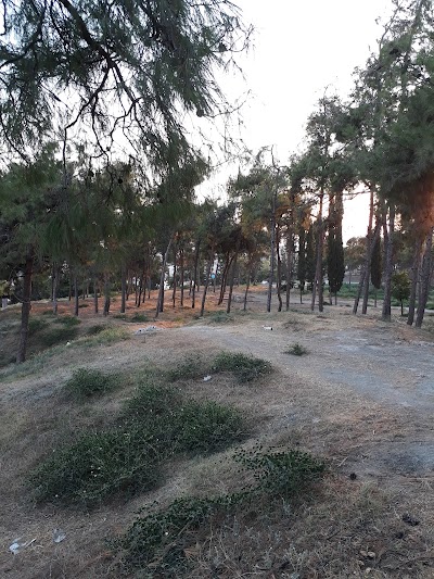Photos of G&ouml;zl&uuml;kule mound