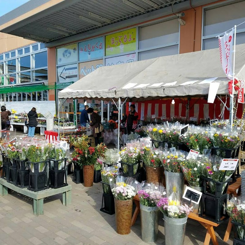 ユニディ湘南平塚店 神奈川県平塚市久領堤 ホームセンター ホームセンター グルコミ
