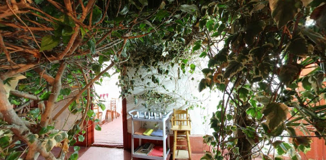 Opiniones de Restaurante Paraiso Del Elqui - Ricardo Pacheco en Vicuña - Restaurante