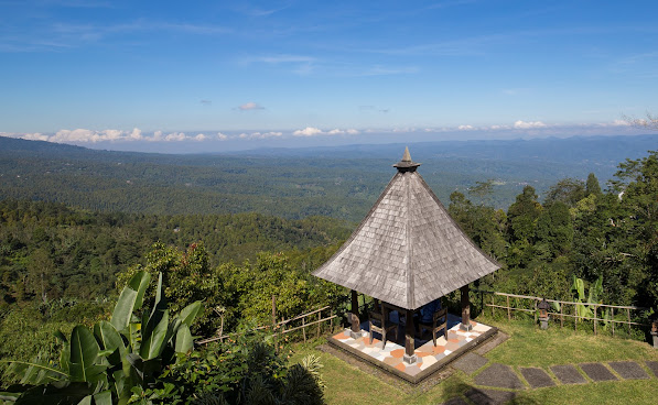 The View Munduk by null