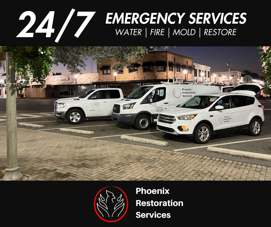 Phoenix Restoration Services photo