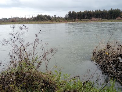 Photos of Forestal Tromen Imperial