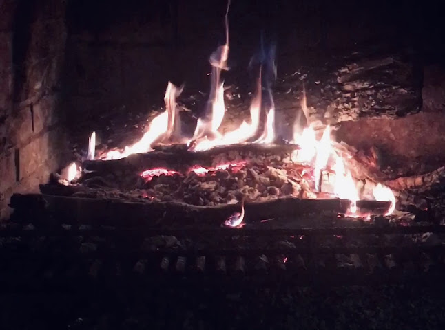 Comentarii opinii despre Конна база Wild City