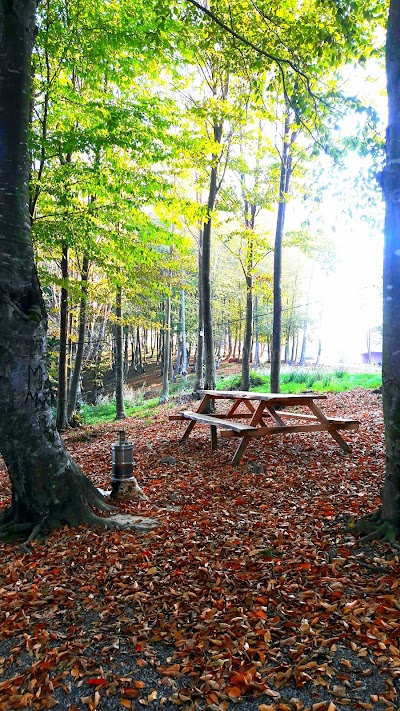 Kızılcık tepe orman park