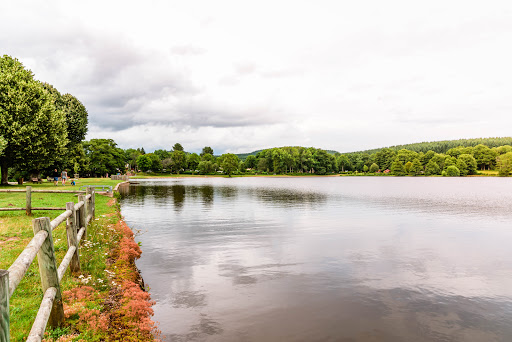 Photo de Camping de l'Etang du Goulot à Lormes (58140)