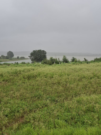 Live walk-through of scenic dam-touch land in Igatpuri. post image