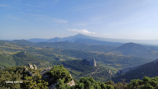 Photo de L'Etang Paisible