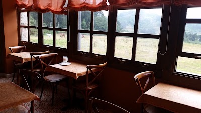 Photos of Hotel Casona Cuervo