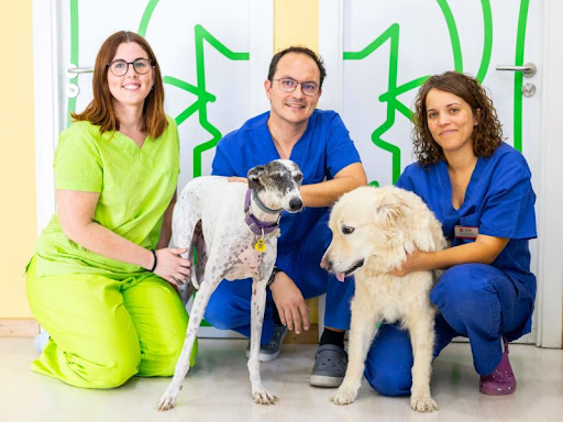 GIRAVET CENTRE VETERINARI