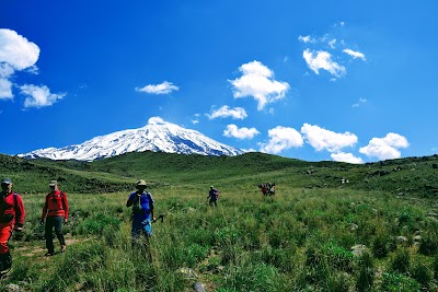 Ararat Travel