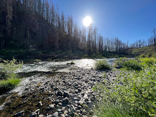 Fern Falls - Visual