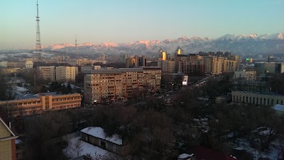Photos of Ata Stroy