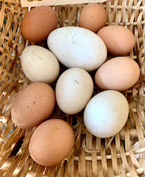 Photo n°14 de Le Potager Rare à Uchaud (Épicerie fine)
