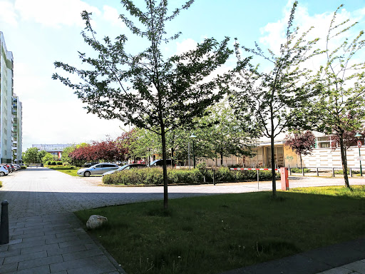 Schwedt, Lindenallee