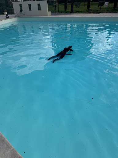 Photo de POOL DETECT Brignoles - Recherche de Fuite Piscine à Brignoles (83170)
