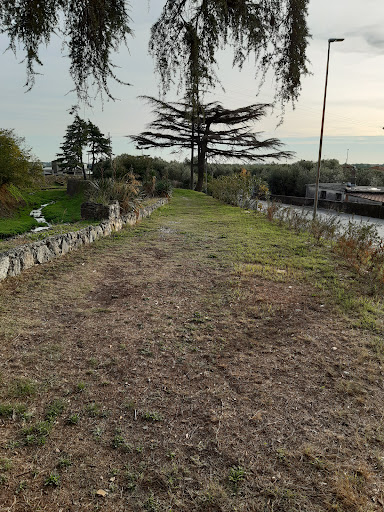 Passeggiata lungofiume