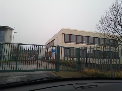 school
