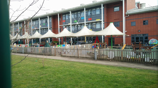 Cranbrook Primary School - Visual