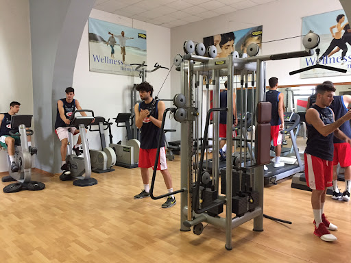 Palestra Ars Gymnica Di Verrigni