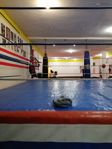 Torrestra Gym - Thumbnail