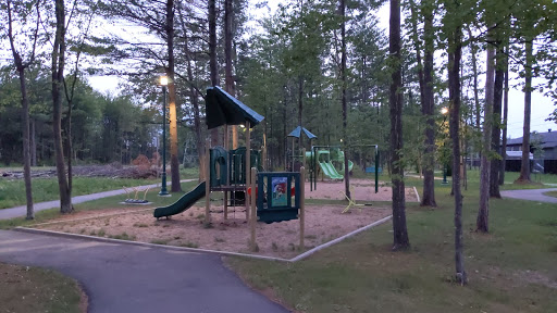Parc à Lily - Visual